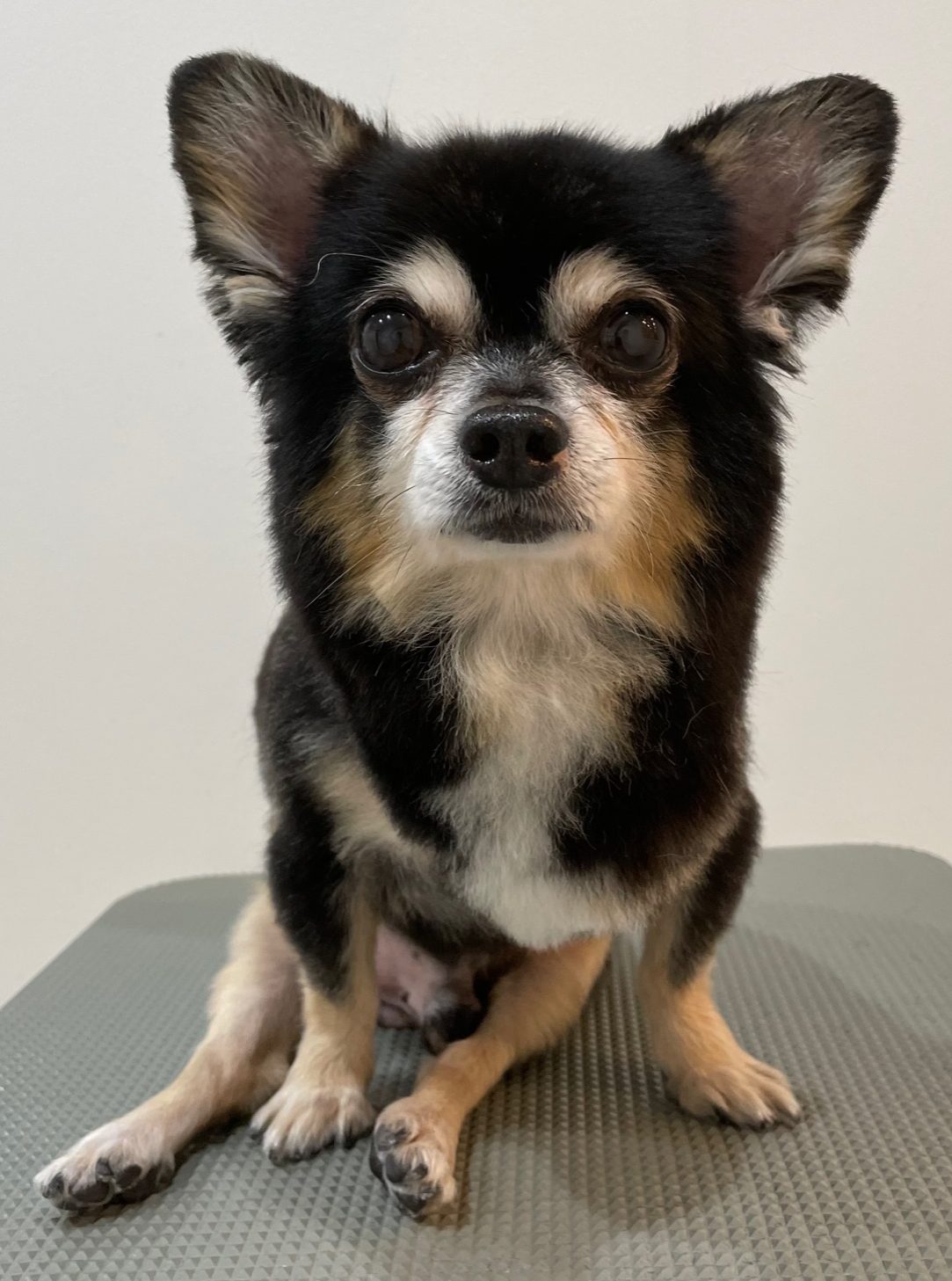 2021-10-24-%e4%b8%ad%e5%b3%b6%e3%82%8a%e3%82%93%e3%81%90