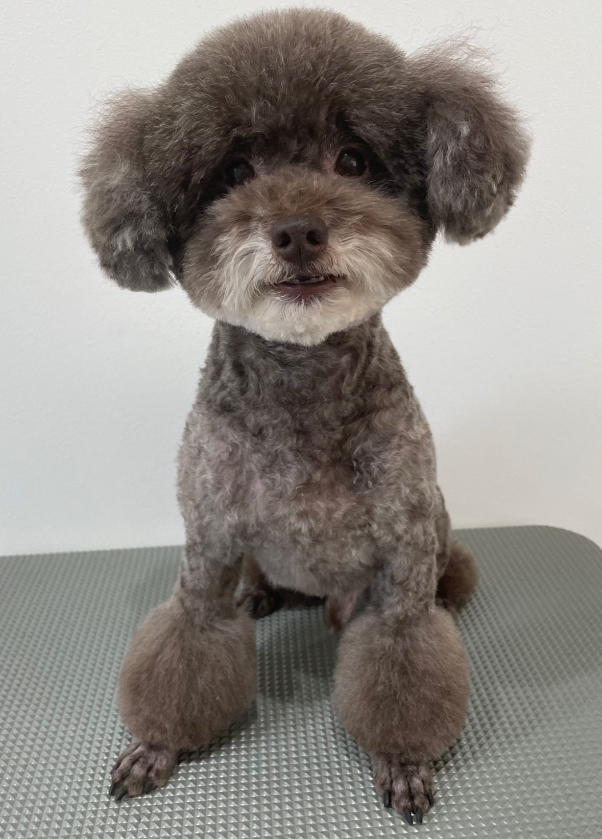 2021-11-30-%e4%b8%ad%e9%87%8e%e3%83%9d%e3%83%af%e3%83%ab