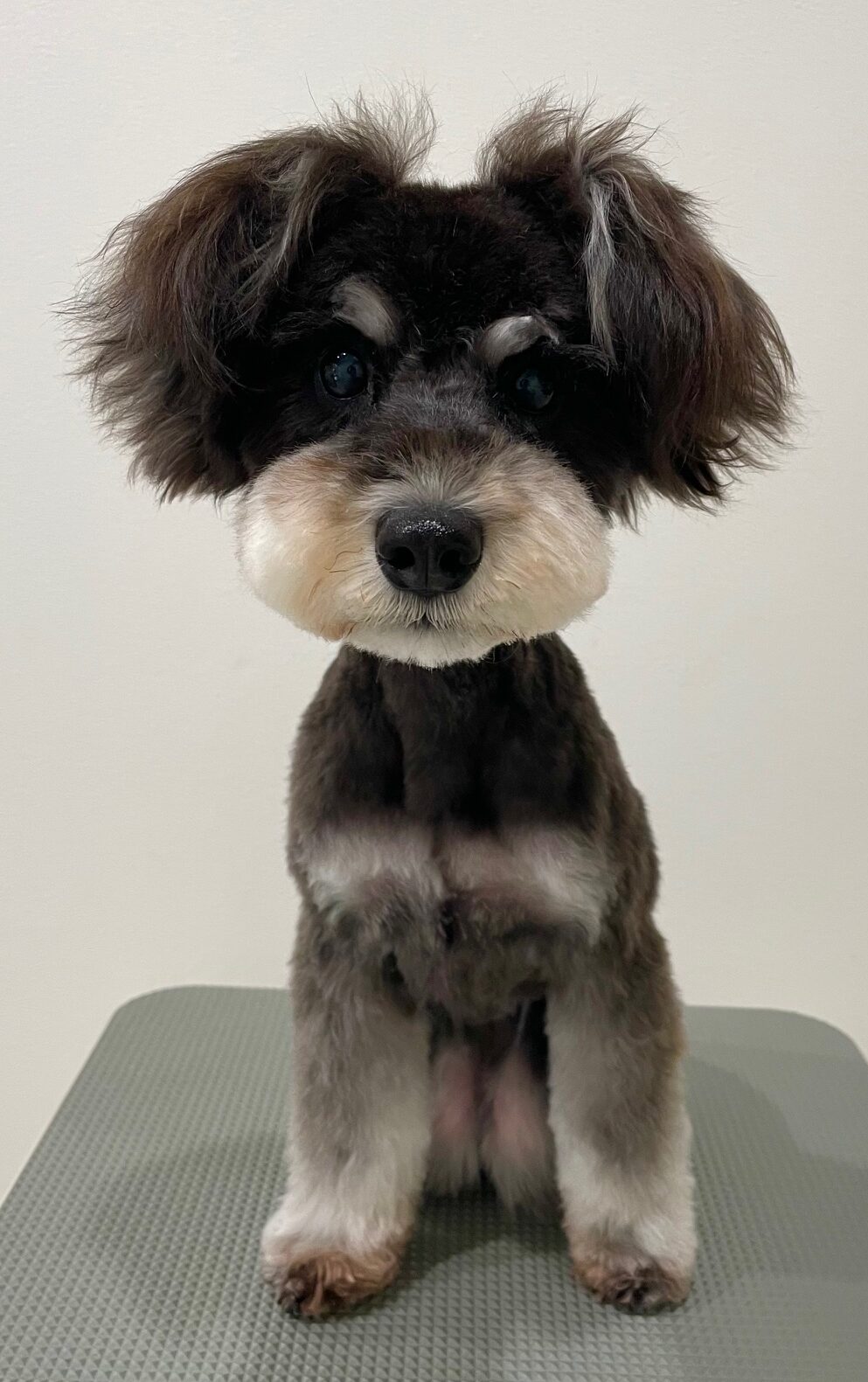 2025-6-1-%e6%9d%89%ef%a8%91%e3%82%a6%e3%82%bf