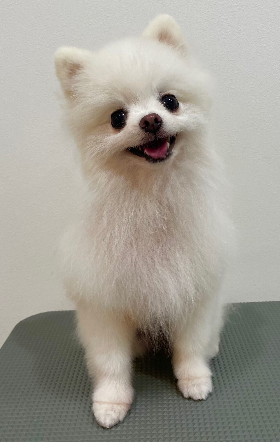 2025-6-1-%e6%a9%8b%e6%9c%ac%e7%be%bd%e7%a9%ba