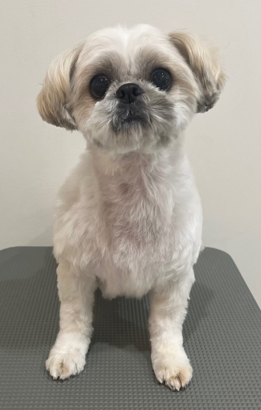 2025-6-1-%e8%97%a4%e5%8e%9f%e3%81%8f%e3%82%8b%e3%81%bf