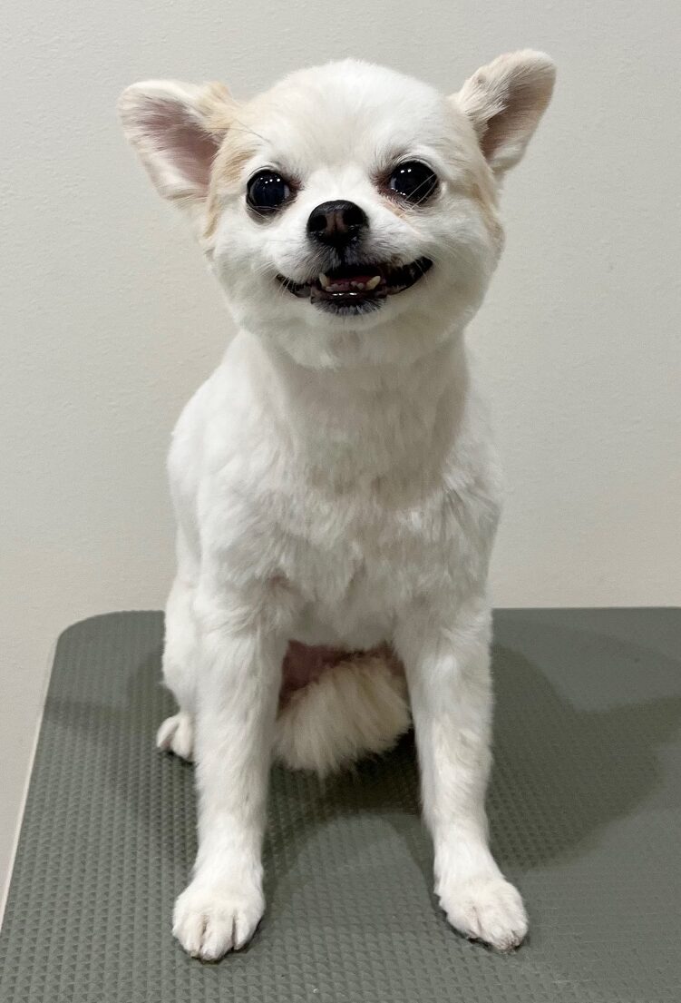 2025-6-10-%e4%b8%8a%e7%94%b0%e3%83%a2%e3%82%ab