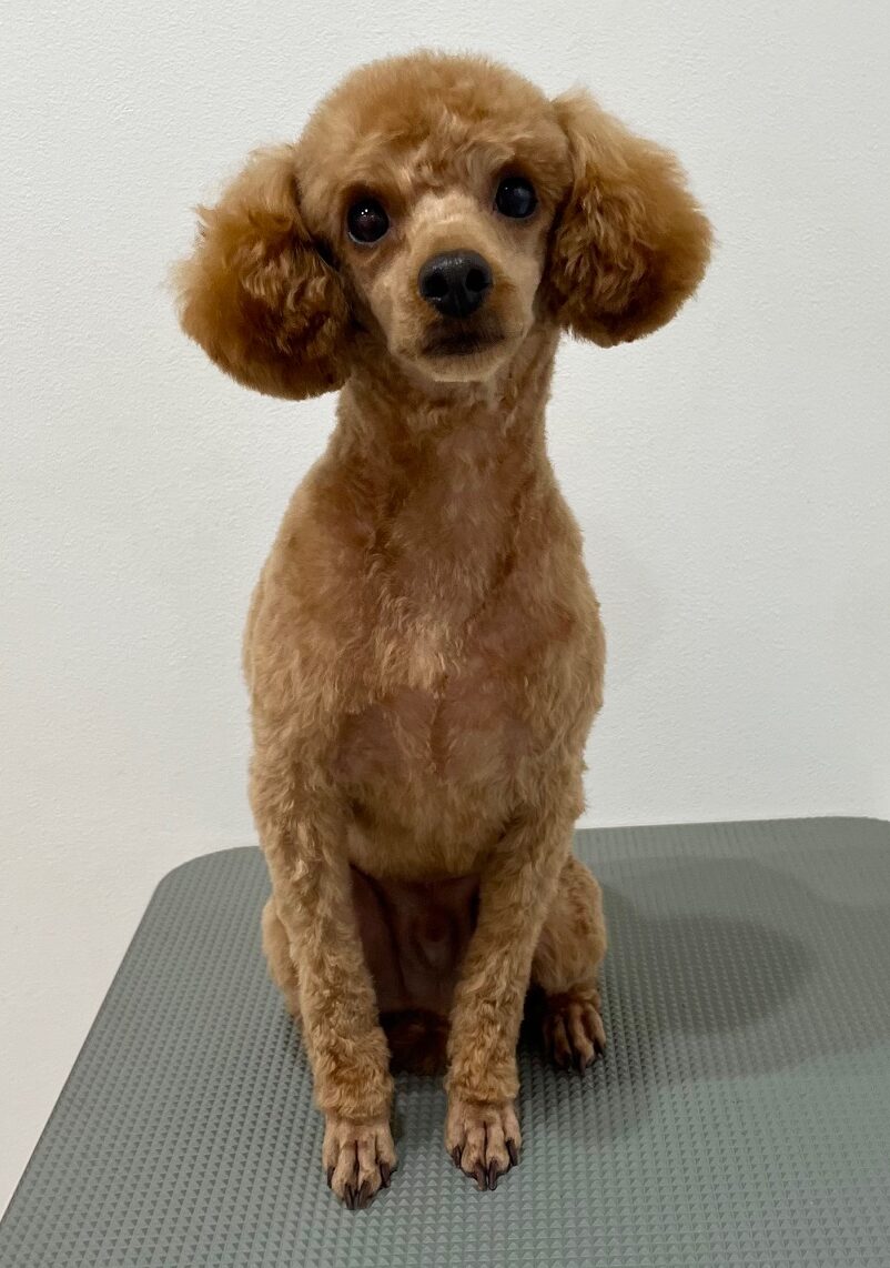 2025-6-10-%e5%9f%8e%e5%b3%b6%e3%83%97%e3%83%97