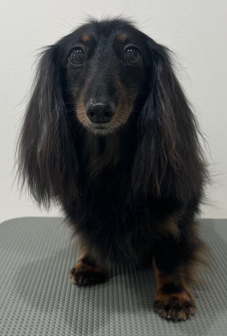 2025-6-10-%e5%af%ba%e7%94%b0%e3%81%8a%e3%82%88