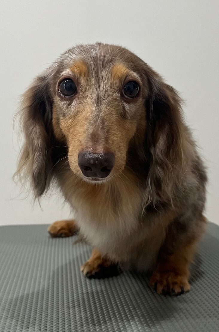 2025-6-10-%e5%af%ba%e7%94%b0%e3%81%be%e3%82%8d