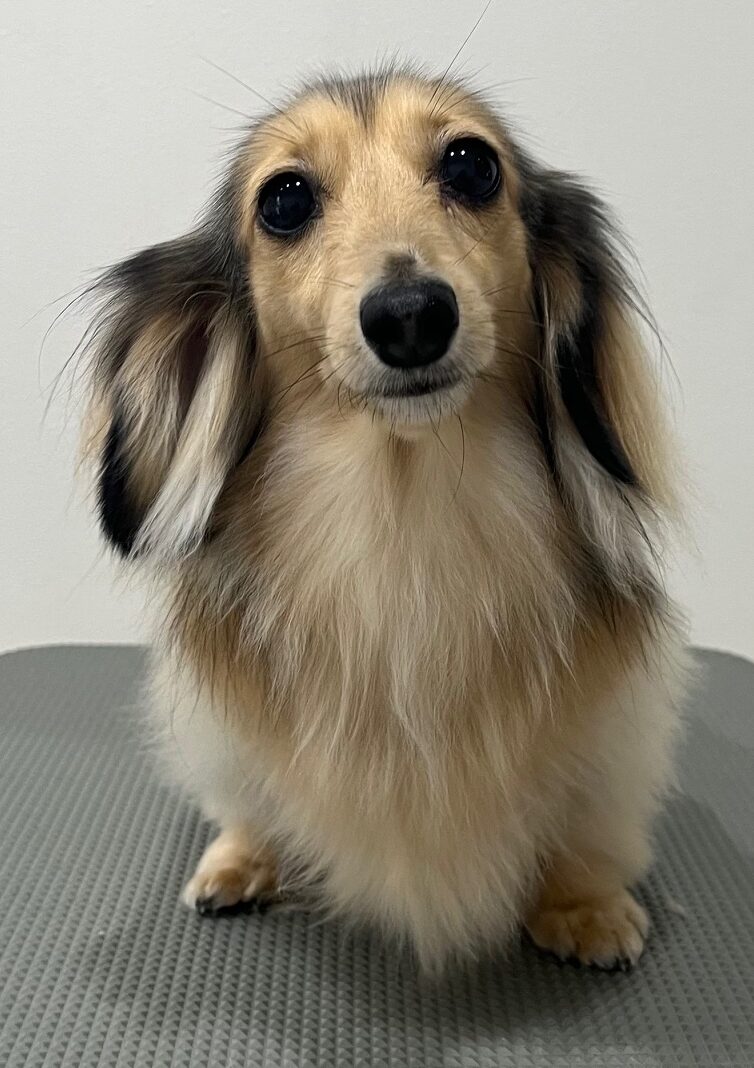 2025-6-10-%e5%af%ba%e7%94%b0%e3%82%82%e3%82%8b