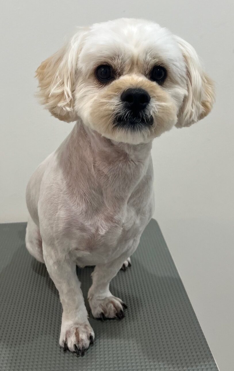 2025-6-10-%e5%b0%8f%e9%96%a2%e6%9d%be%e7%ab%b9