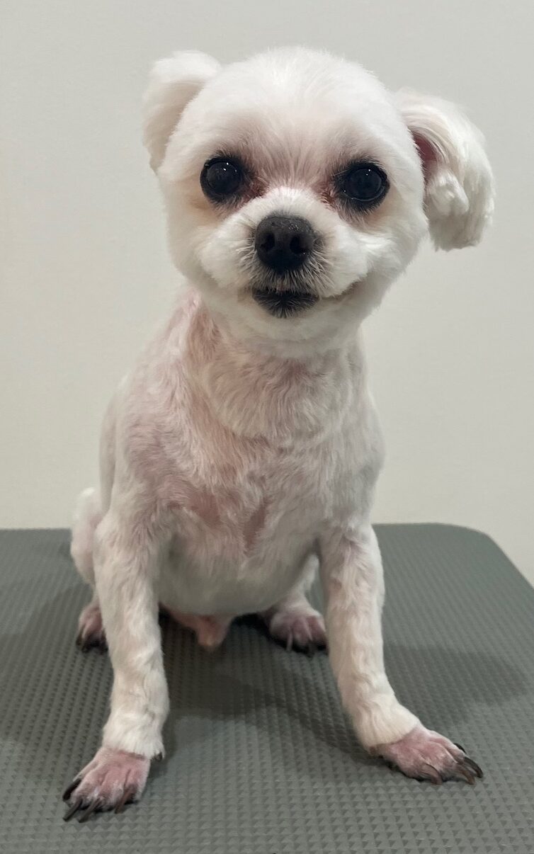 2025-6-10-%e6%9d%89%e5%b4%8e%e3%82%b1%e3%83%b3%e3%82%b7%e3%83%b3