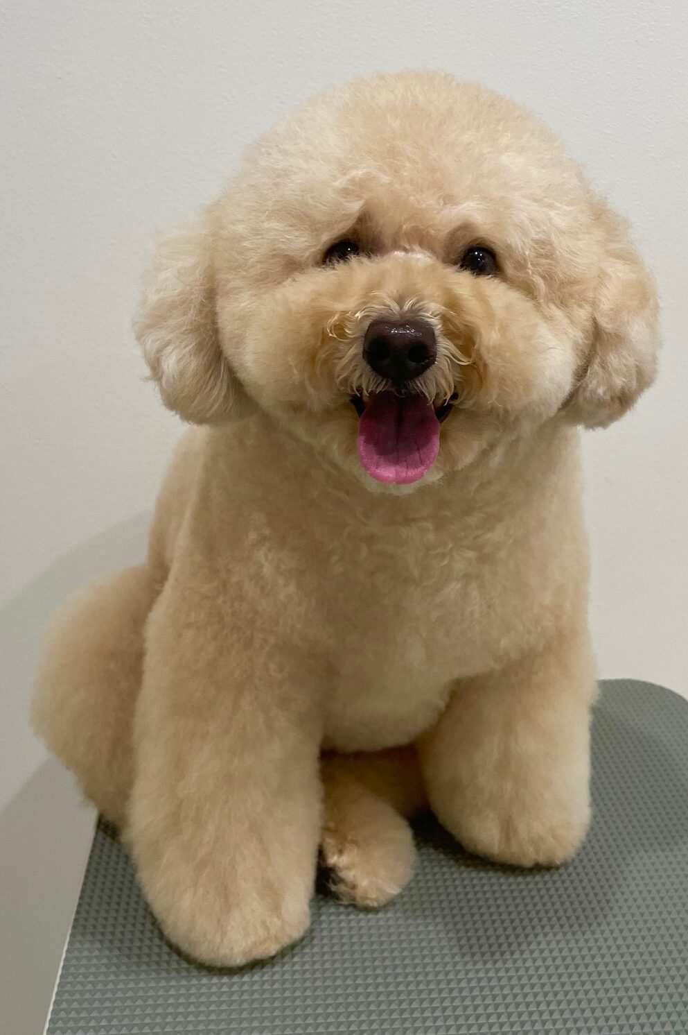 2025-6-11-%e5%b0%8f%e6%9e%97%e3%83%ad%e3%83%a0