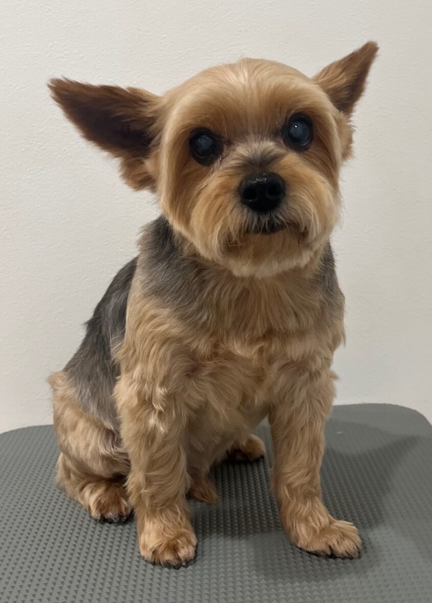 2025-6-11-%e9%81%a0%e8%97%a4%e3%82%b3%e3%83%ad