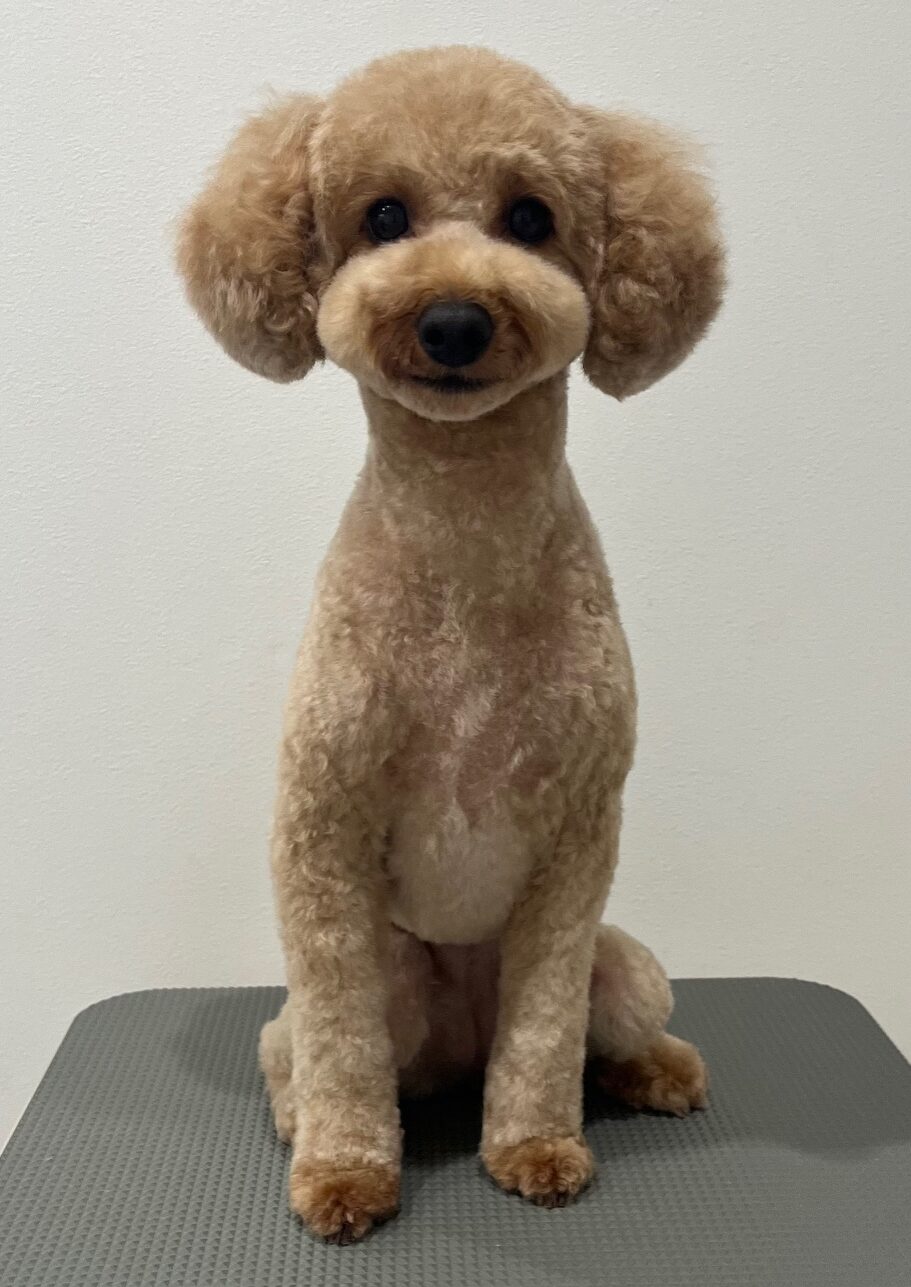 2025-6-13-%e5%87%ba%e9%87%8e%e3%82%82%e3%82%82%e3%81%8b