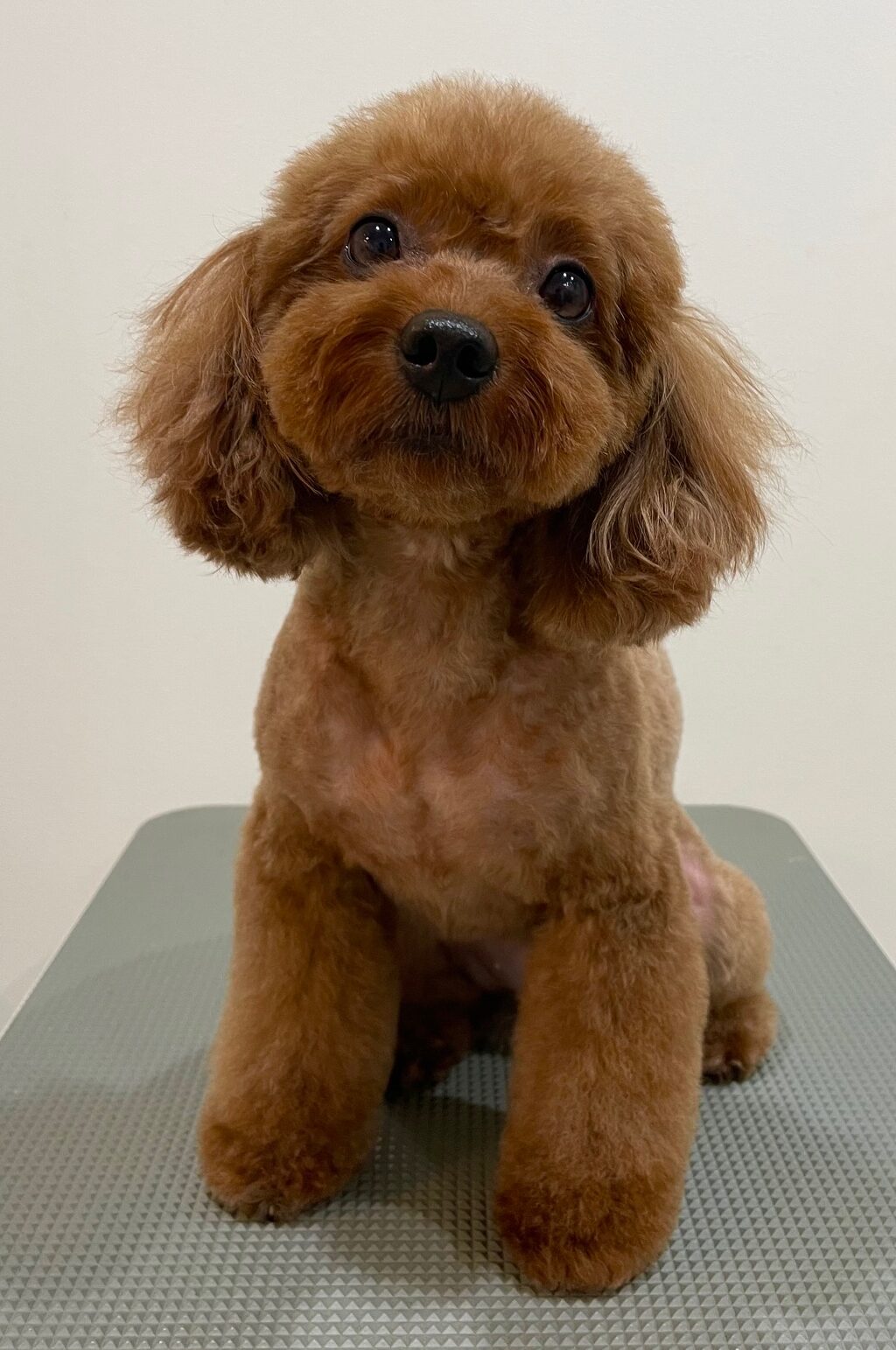 2025-6-13-%e5%b9%b3%e7%94%b0kira