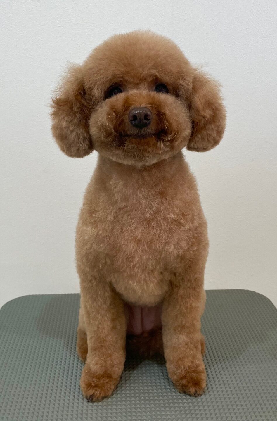 2025-6-13-%e6%b5%b7%e5%a0%80%e3%81%8f%e3%81%85%e3%83%bc