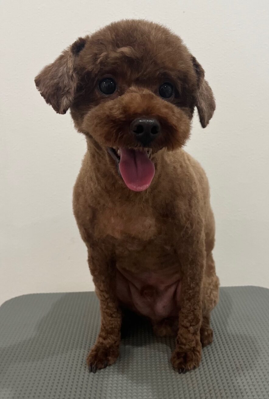 2025-6-15-%e6%a0%97%e5%8e%9f%e3%83%9c%e3%83%b3