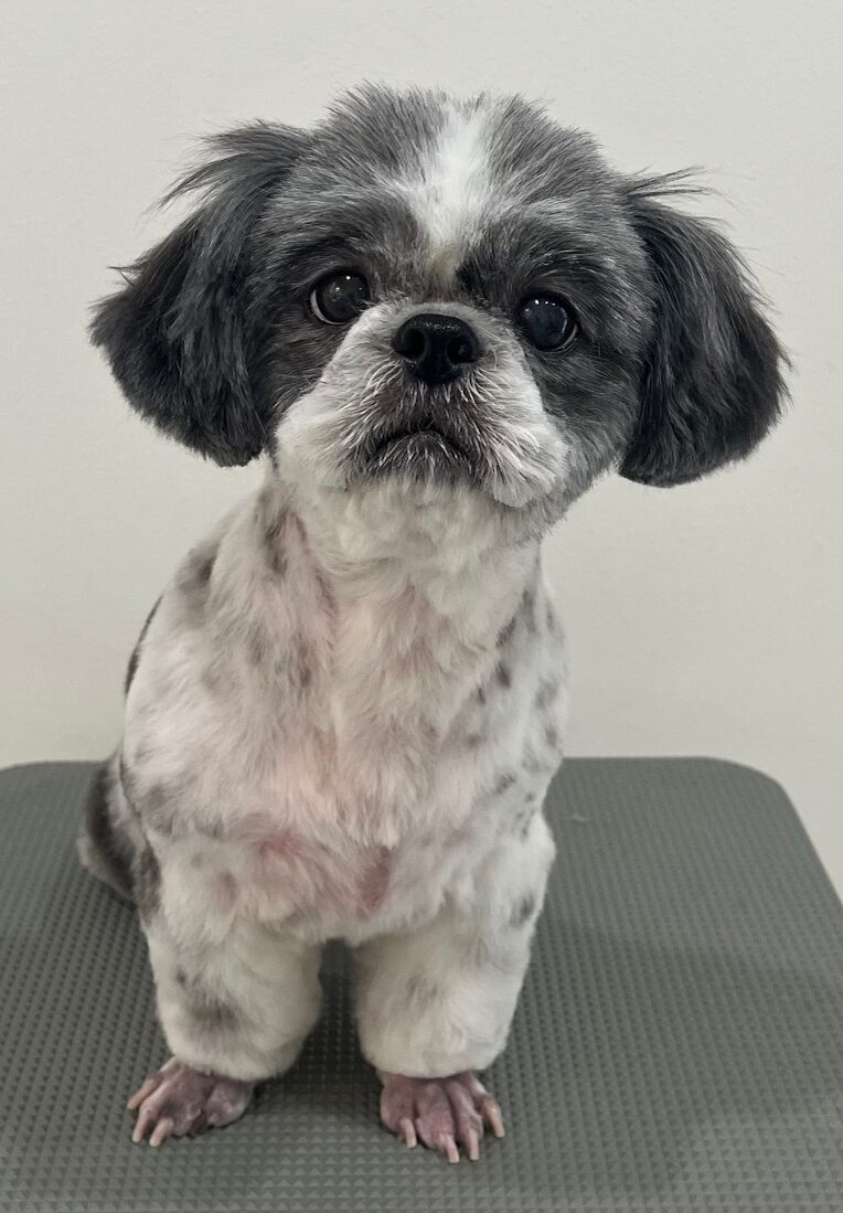 2025-6-2-%e5%b0%8f%e9%87%8e%e3%83%9d%e3%82%b3