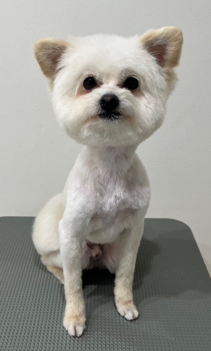 2025-6-2-%e5%b7%9d%e7%94%b0%e3%83%a9%e3%82%ad