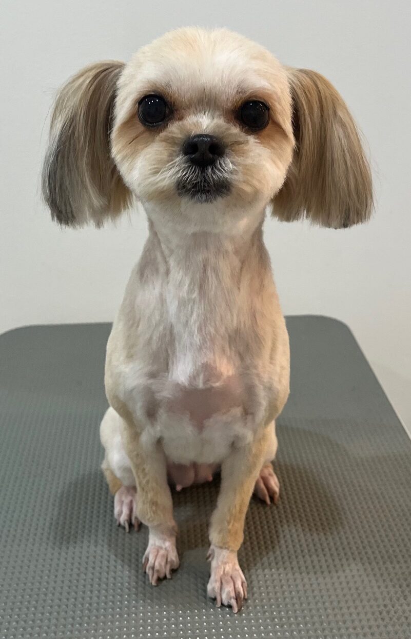 2025-6-2-%e9%95%b7%e6%be%a4%e3%83%91%e3%82%af%e3%83%81%e3%83%bc