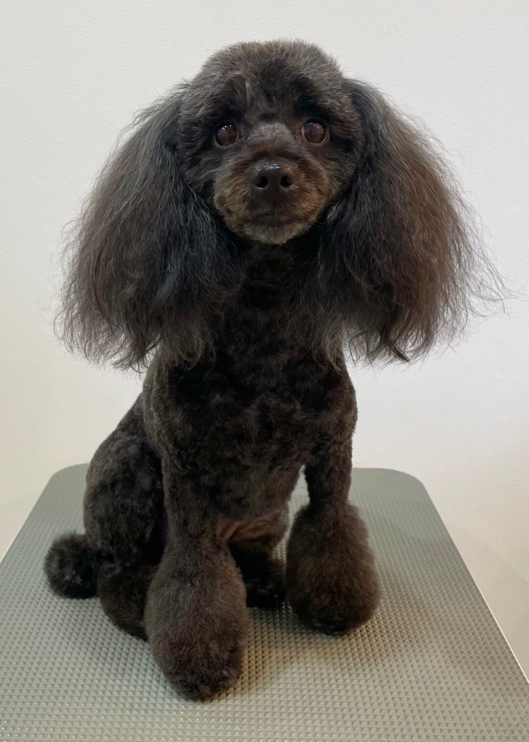 2025-6-2-%e9%ab%99%e7%94%b0%e3%83%a2%e3%82%b3