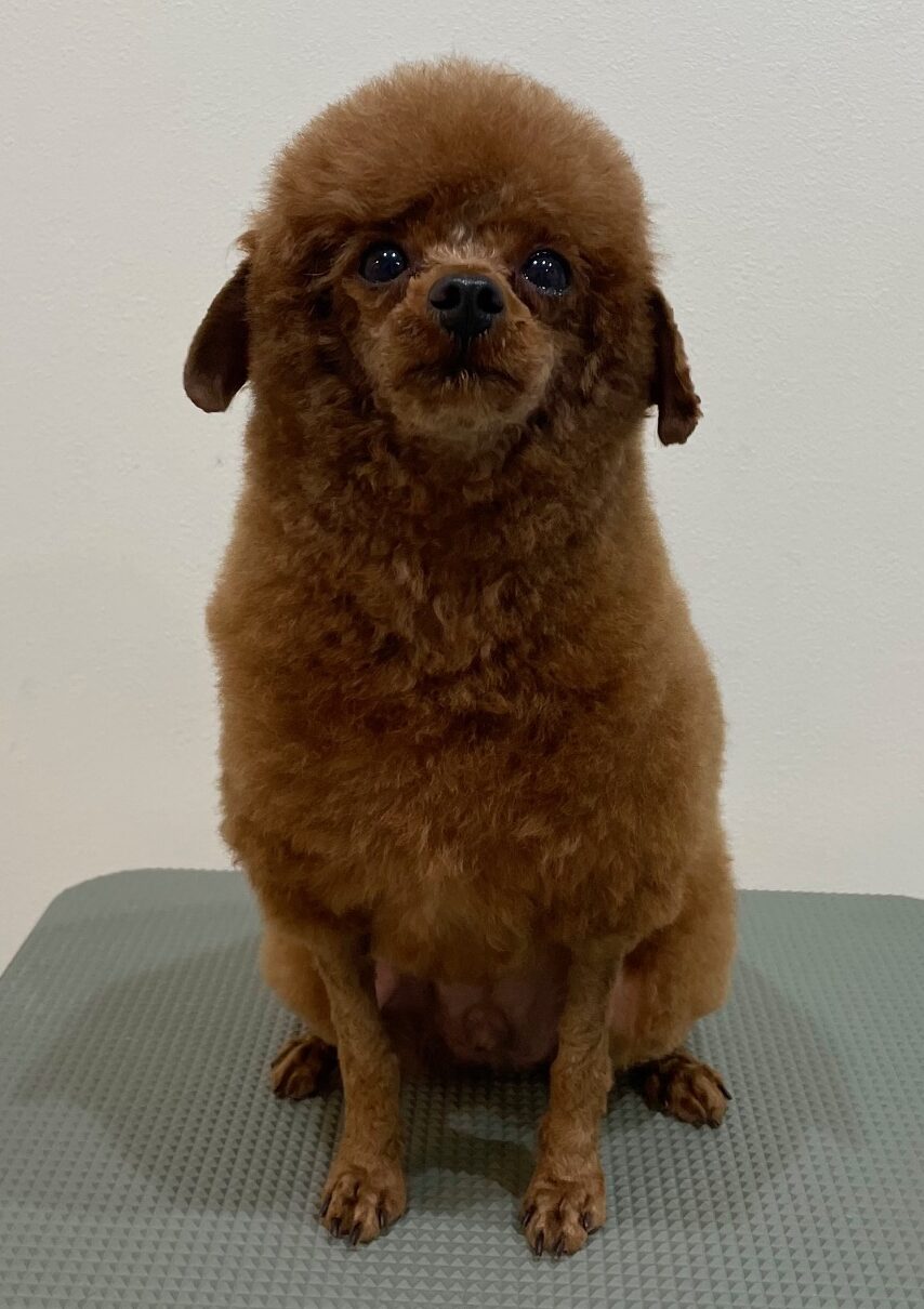 2025-6-3-%e5%b0%8f%e6%9e%97%e3%83%97%e3%83%81