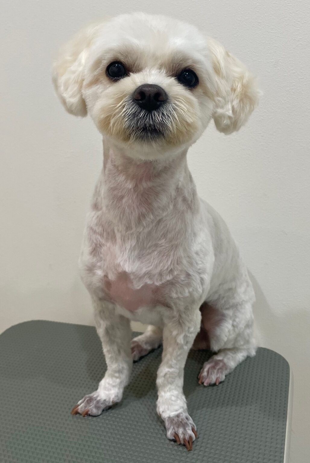 2025-6-3-%e6%9d%be%e4%ba%95%e3%81%93%e3%82%8d