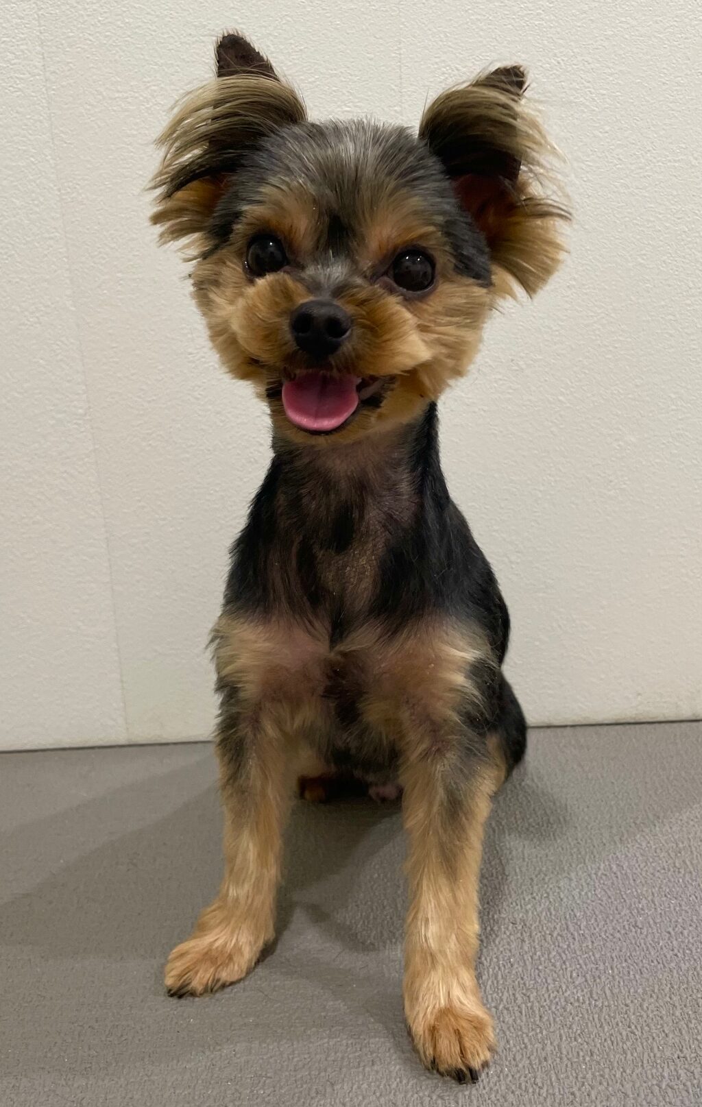 2025-6-3-%e6%9d%be%e6%b5%a6%e3%82%82%e3%81%93