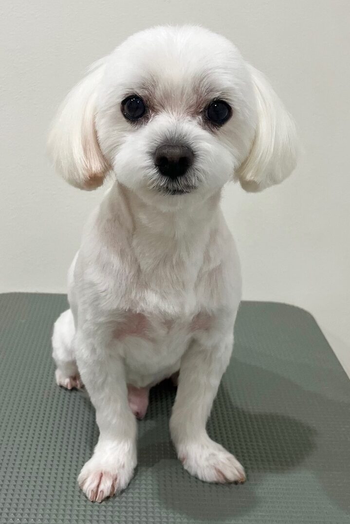 2025-6-3-%e7%95%a0%e5%85%83%e6%a3%97