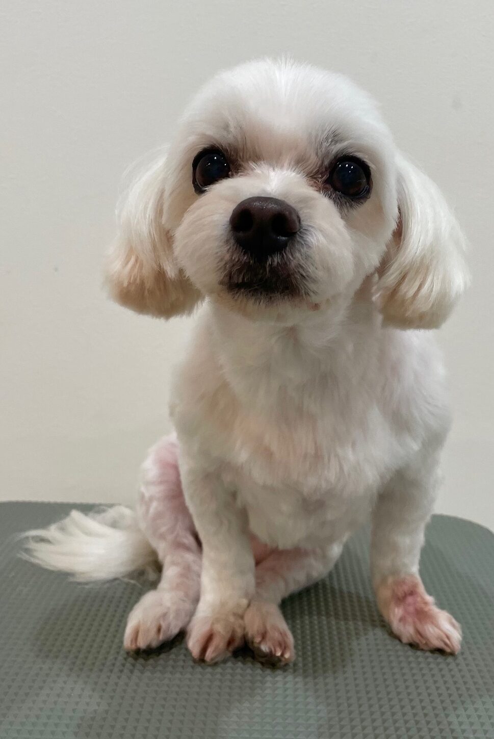 2025-6-3-%e7%95%a0%e5%85%83%e8%98%ad