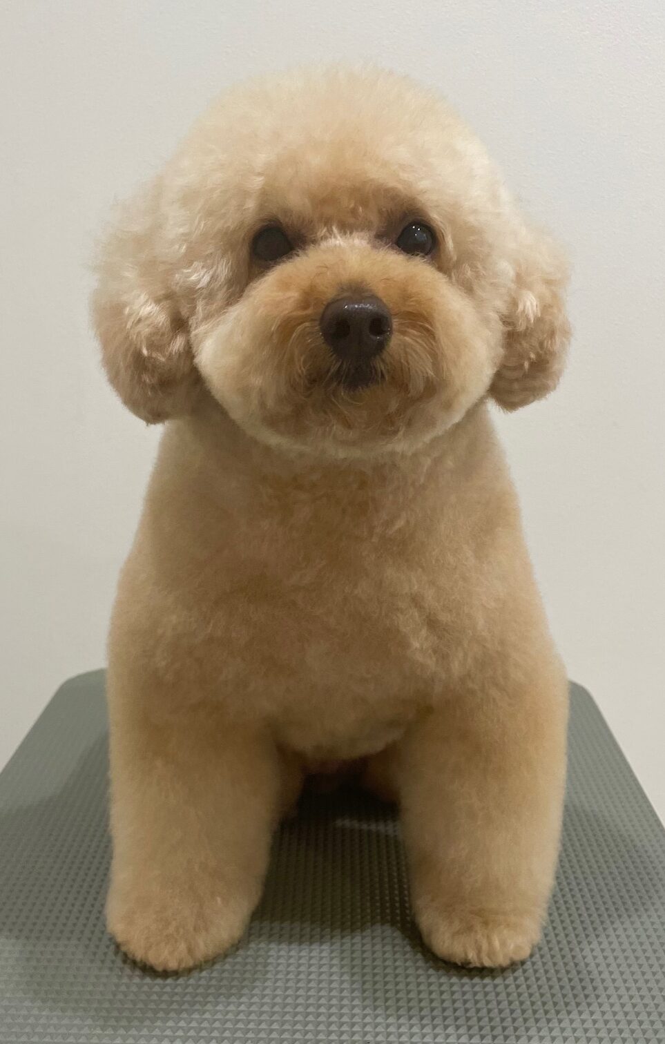 2025-6-4-%e5%b0%8f%e6%9e%97%e3%81%b7%e3%81%86