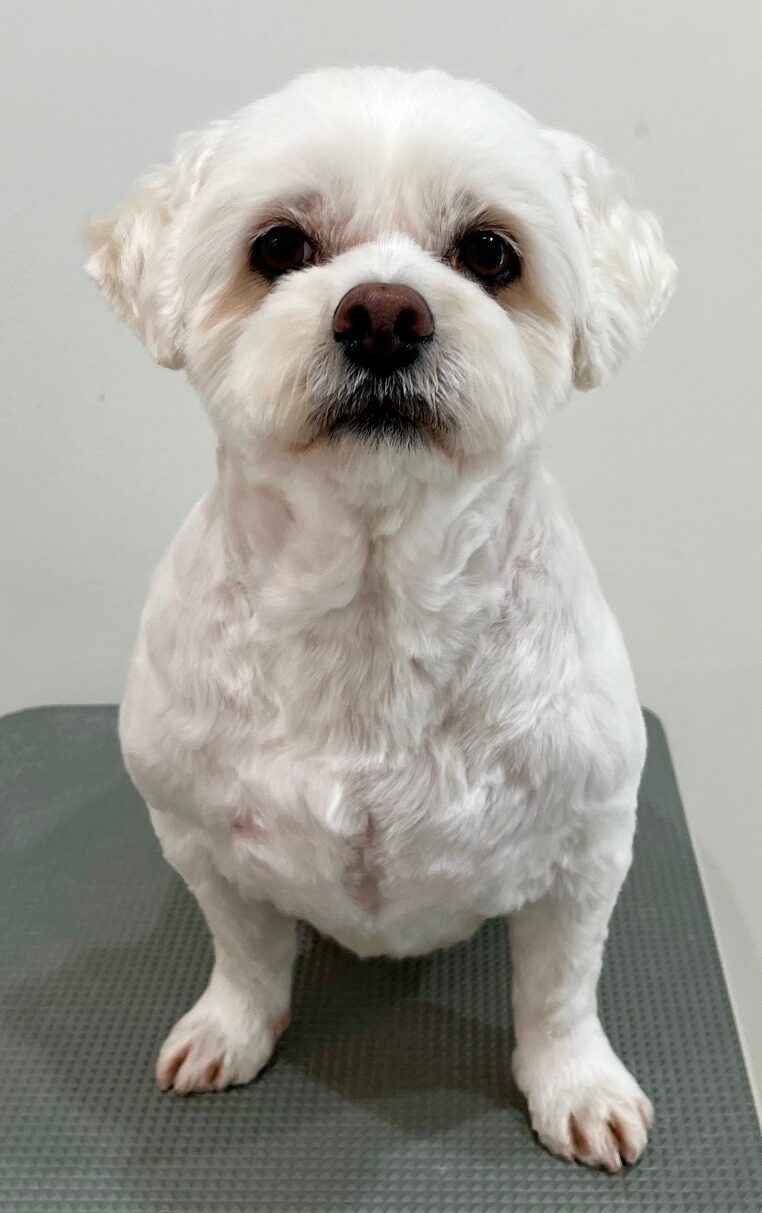 2025-6-4-%e5%b0%8f%e6%a4%8b%e3%82%86%e3%81%86