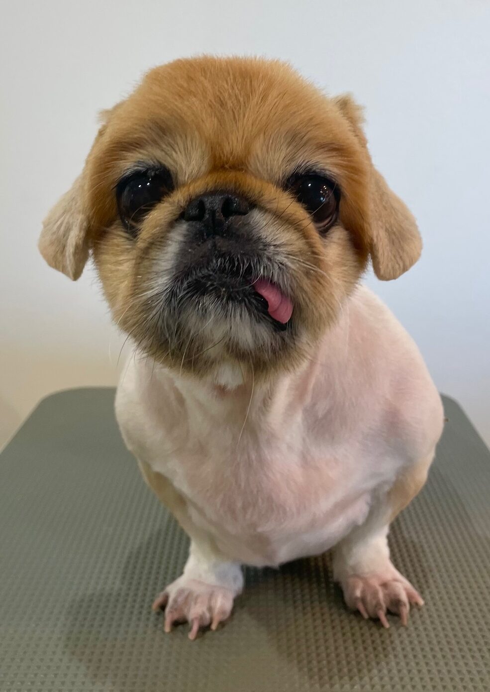 2025-6-4-%e6%9d%be%e5%ae%ae%e3%81%82%e3%81%bf