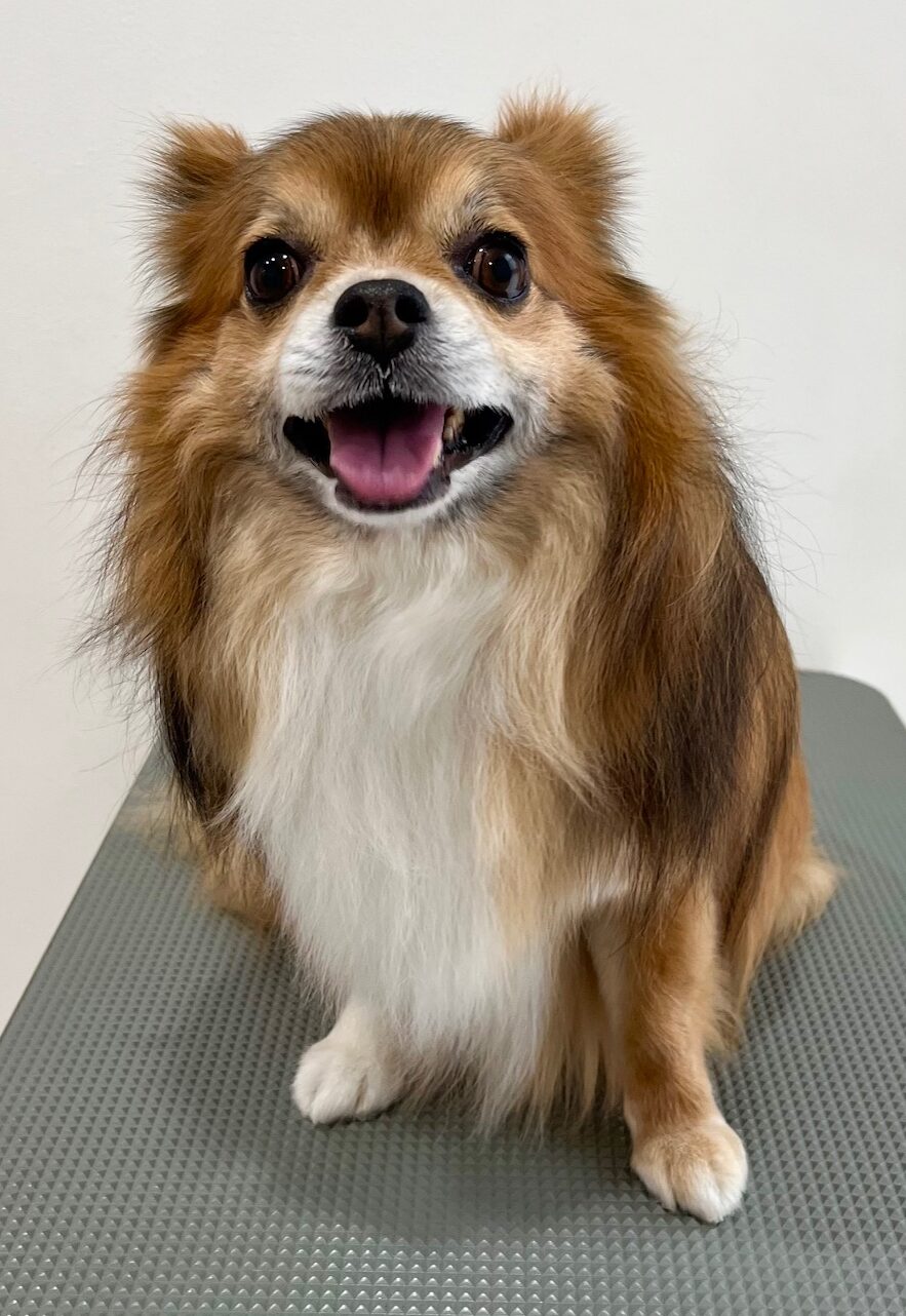 2025-6-4-%e7%80%ac%e6%88%b8%e3%83%ab%e3%83%bc%e3%82%af