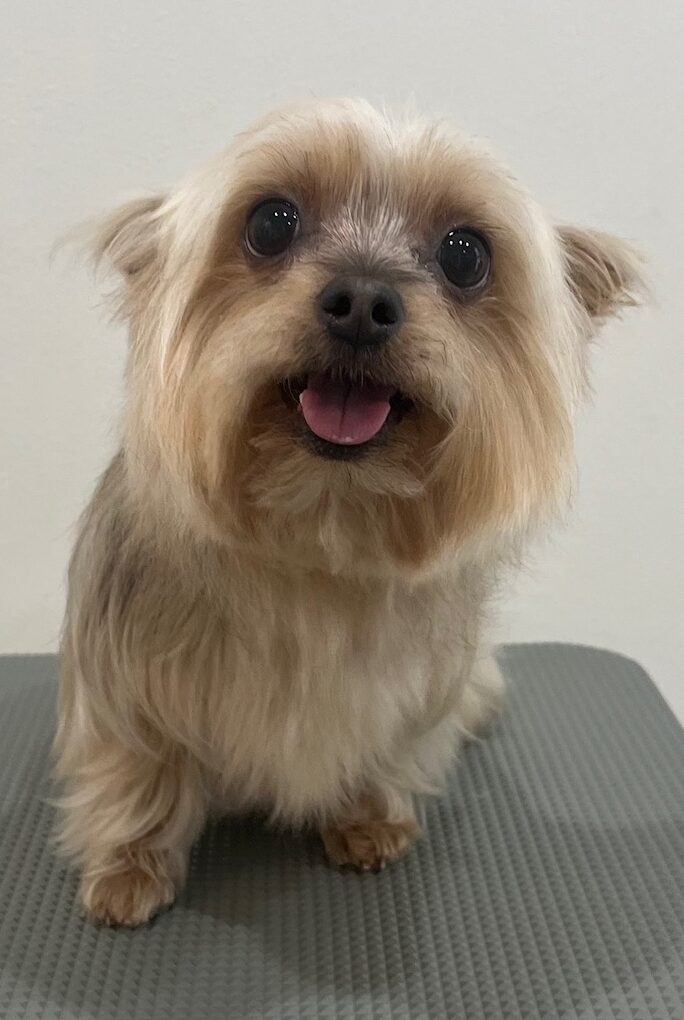 2025-6-4-%e8%8d%92%e4%ba%95%e3%83%9f%e3%83%9f