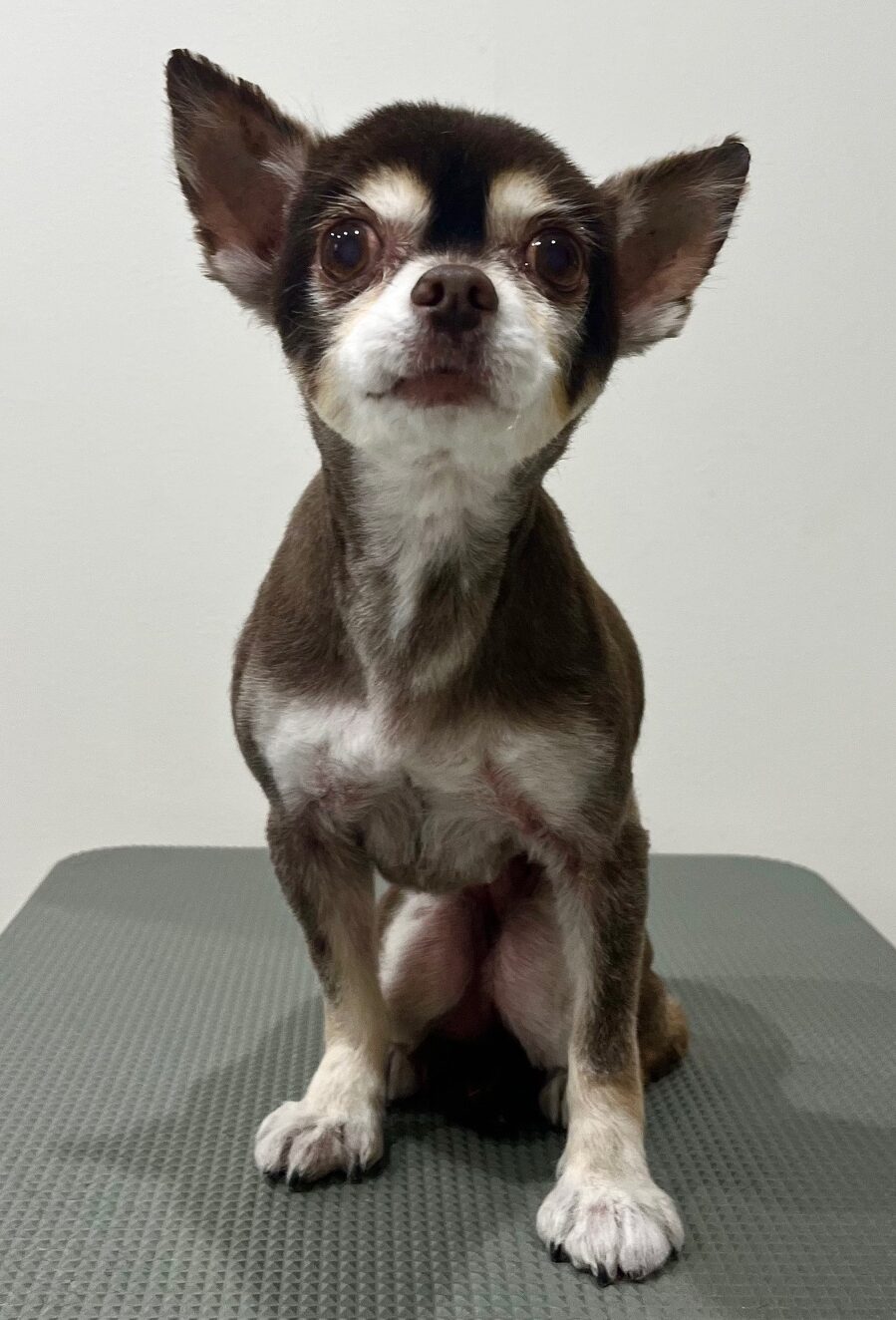 2025-6-6-%e5%b1%b1%e5%bd%a2%e3%81%bd%e3%81%a1