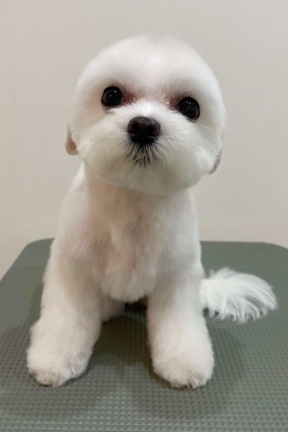 2025-6-6-%e7%a6%8f%e7%94%b0%e3%81%8b%e3%82%8f