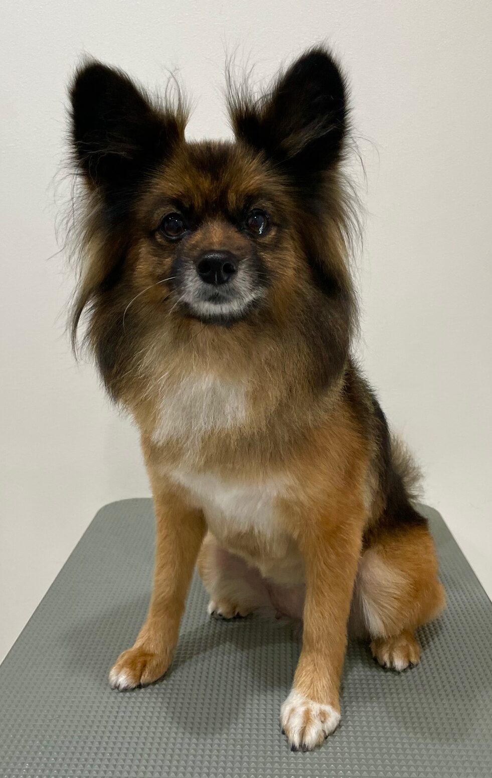 2025-6-6-%e8%bf%91%e8%97%a4%e3%82%b5%e3%83%a9