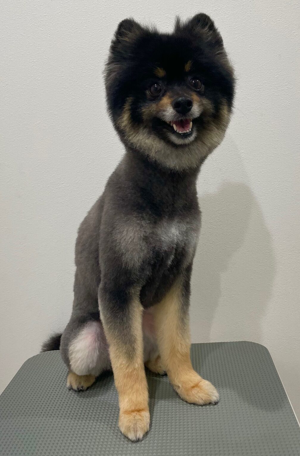 2025-6-8-%e4%bd%90%e8%97%a4%e3%83%9e%e3%83%ad%e3%83%b3