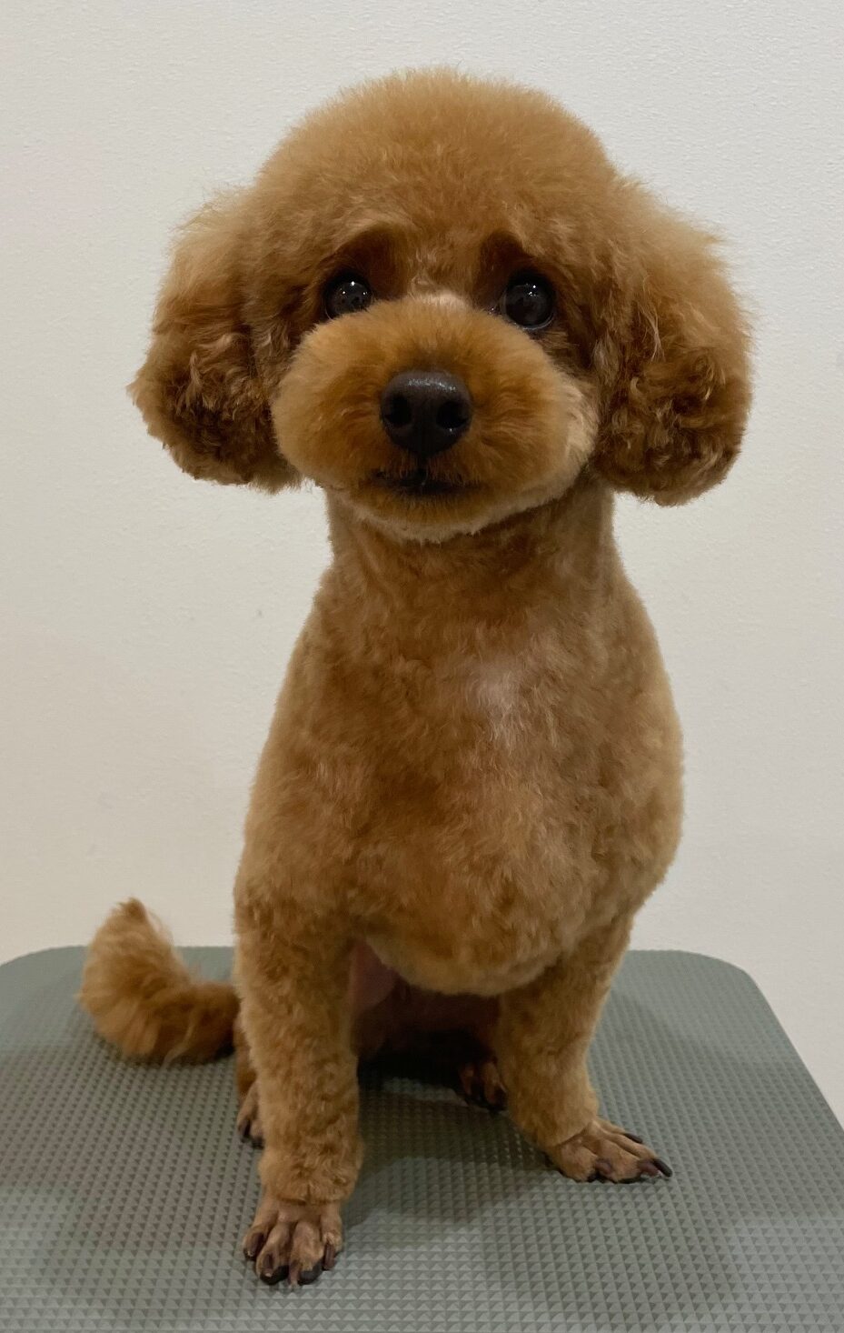 2025-6-8-%e5%a4%8f%e8%a6%8b%e3%82%80%e3%81%8e