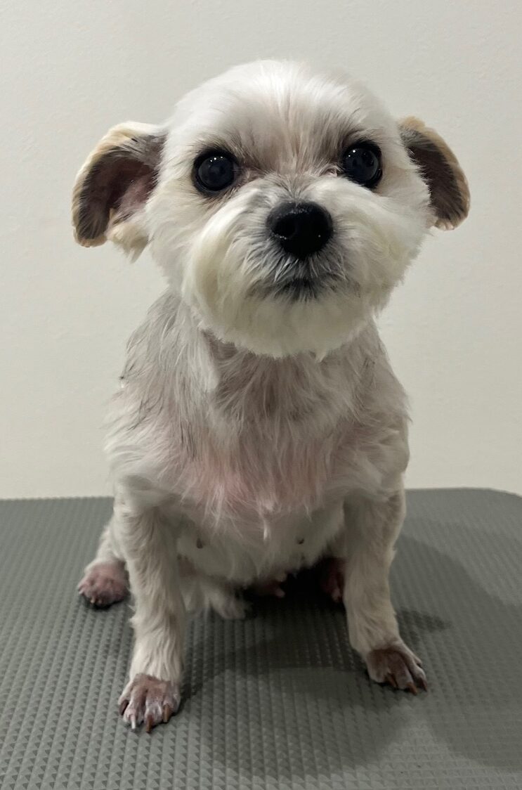 2025-6-9-%e5%b0%8f%e6%9d%be%e3%81%82%e3%81%9a%e3%81%8d