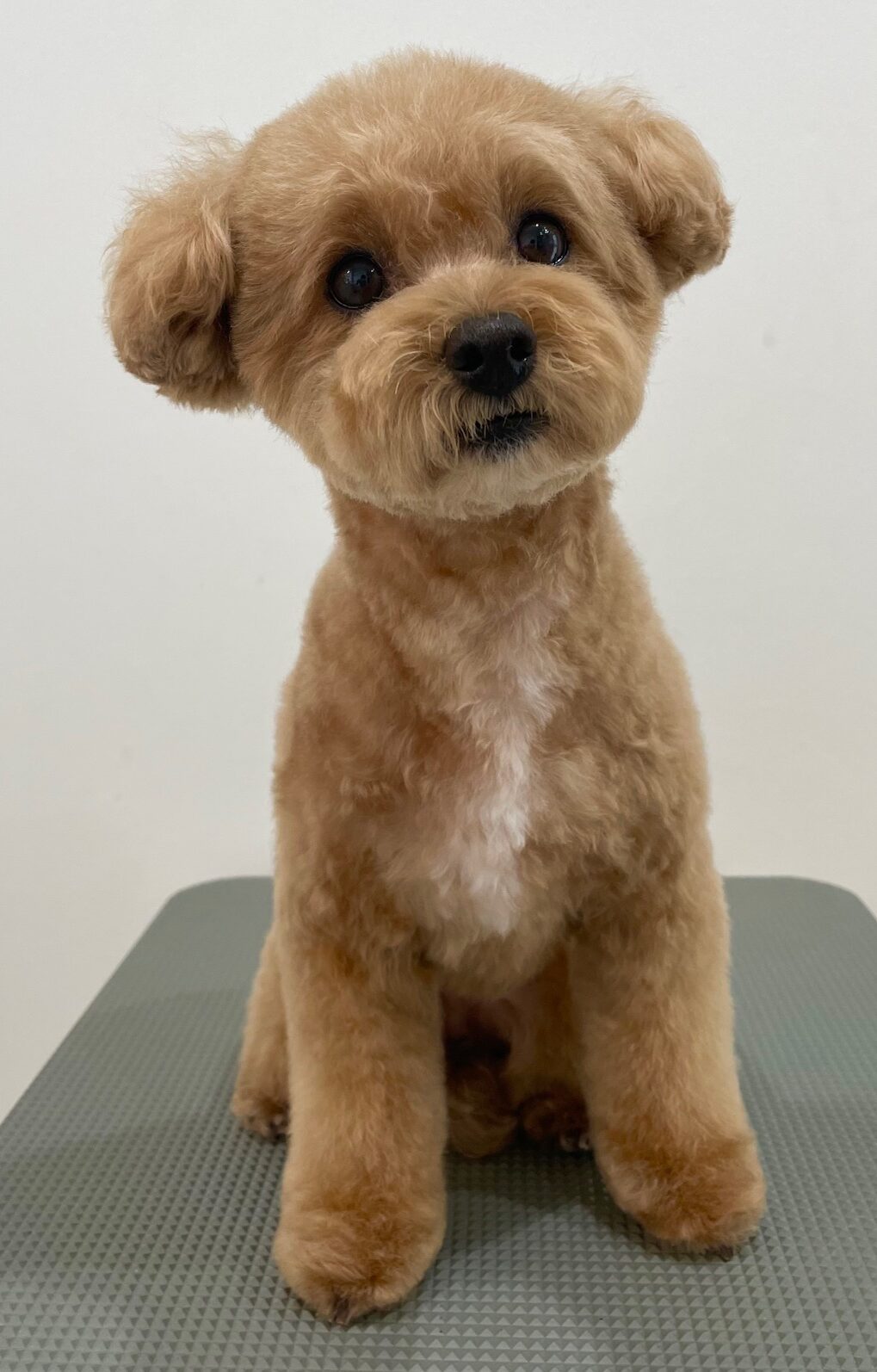 2025-6-9-%e7%89%87%e5%b2%a1%e3%82%86%e3%81%9a