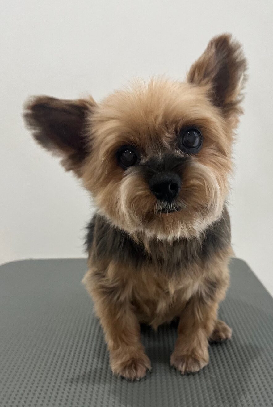 2025-6-9-%e9%96%a2%e9%87%8e%e3%83%8e%e3%82%a2