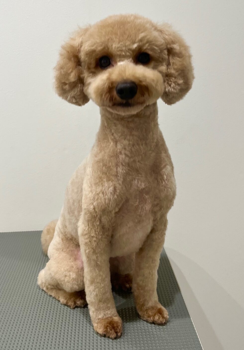 2025-7-16-%e5%87%ba%e9%87%8e%e3%82%82%e3%82%82%e3%81%8b