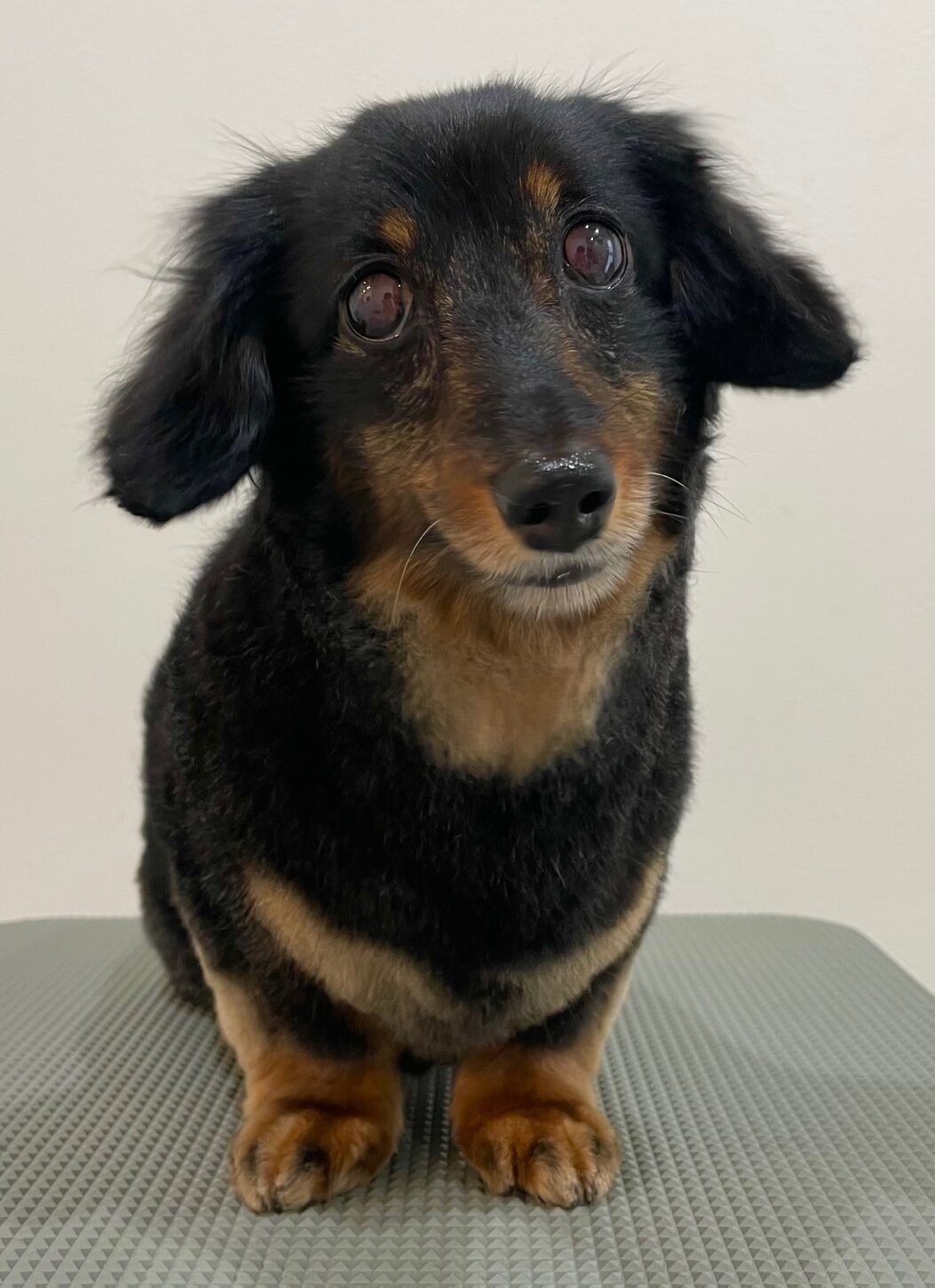 2025-7-16-%e5%b4%8e%e7%94%b0%e3%83%86%e3%82%a3%e3%83%8a