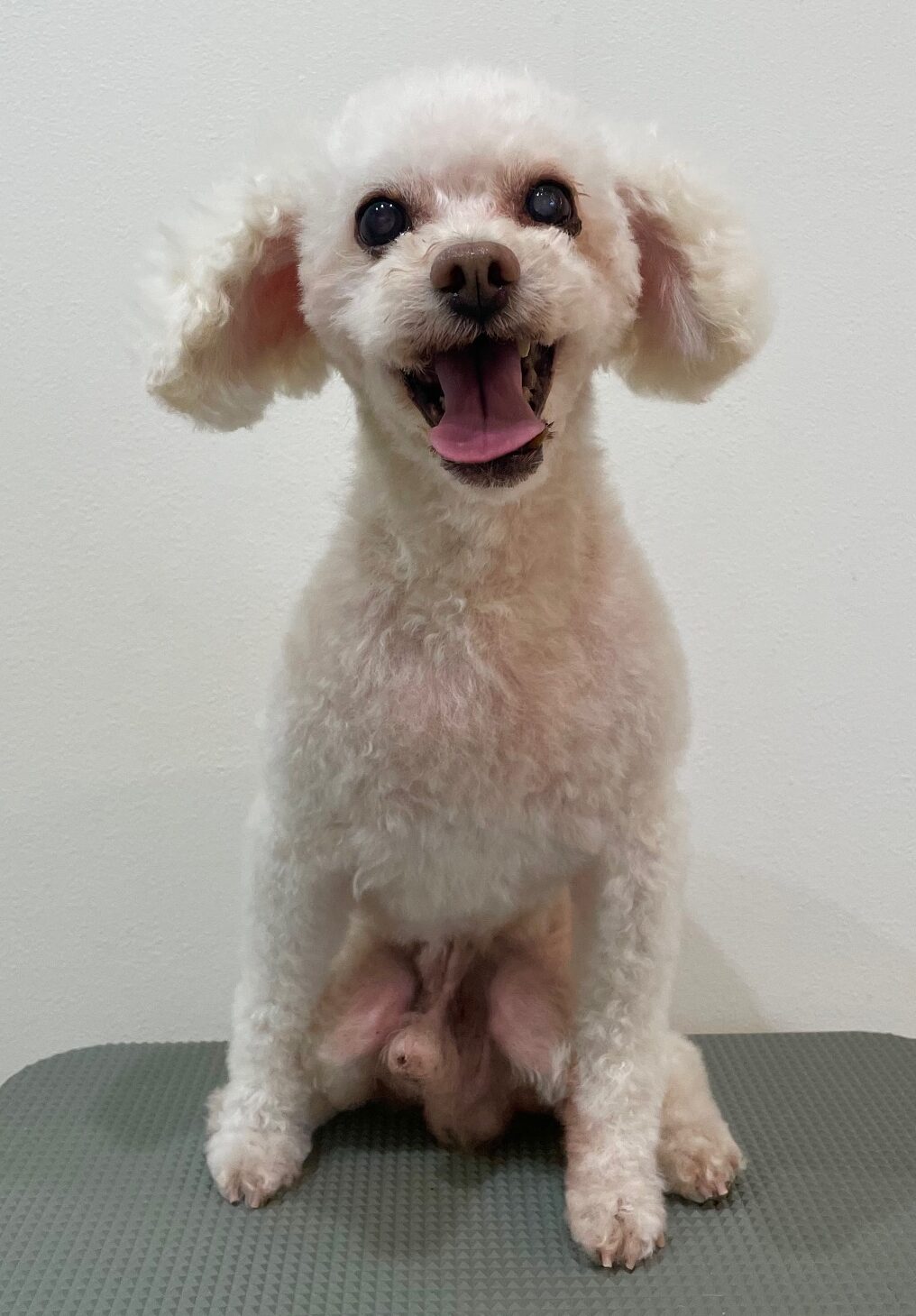 2025-7-16-%e5%b7%9d%e5%b3%b6%e3%83%9e%e3%83%ad%e3%83%b3