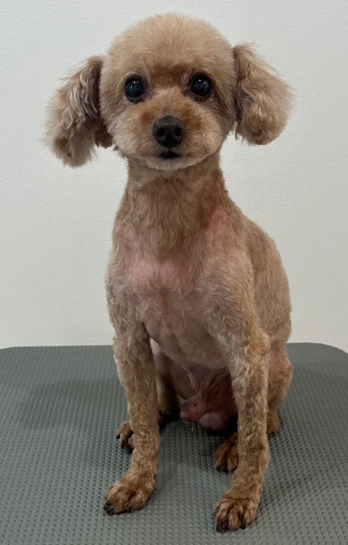 2025-7-16-%e8%8d%bb%e9%87%8e%e3%83%a2%e3%82%ab