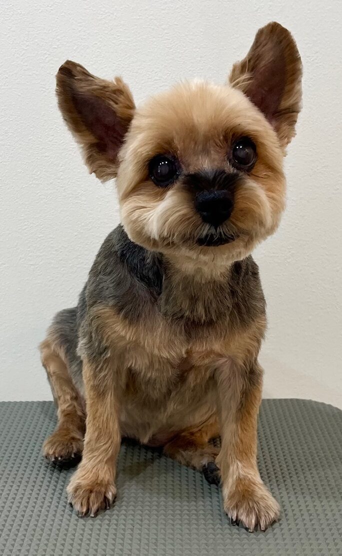 2025-7-16-%e9%96%a2%e9%87%8e%e3%83%8e%e3%82%a2