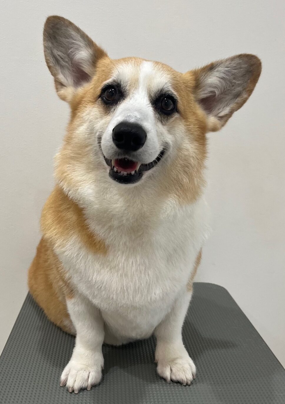 2025-7-18-%e5%a5%a5%e6%b4%a5%e3%81%8f%e3%81%85