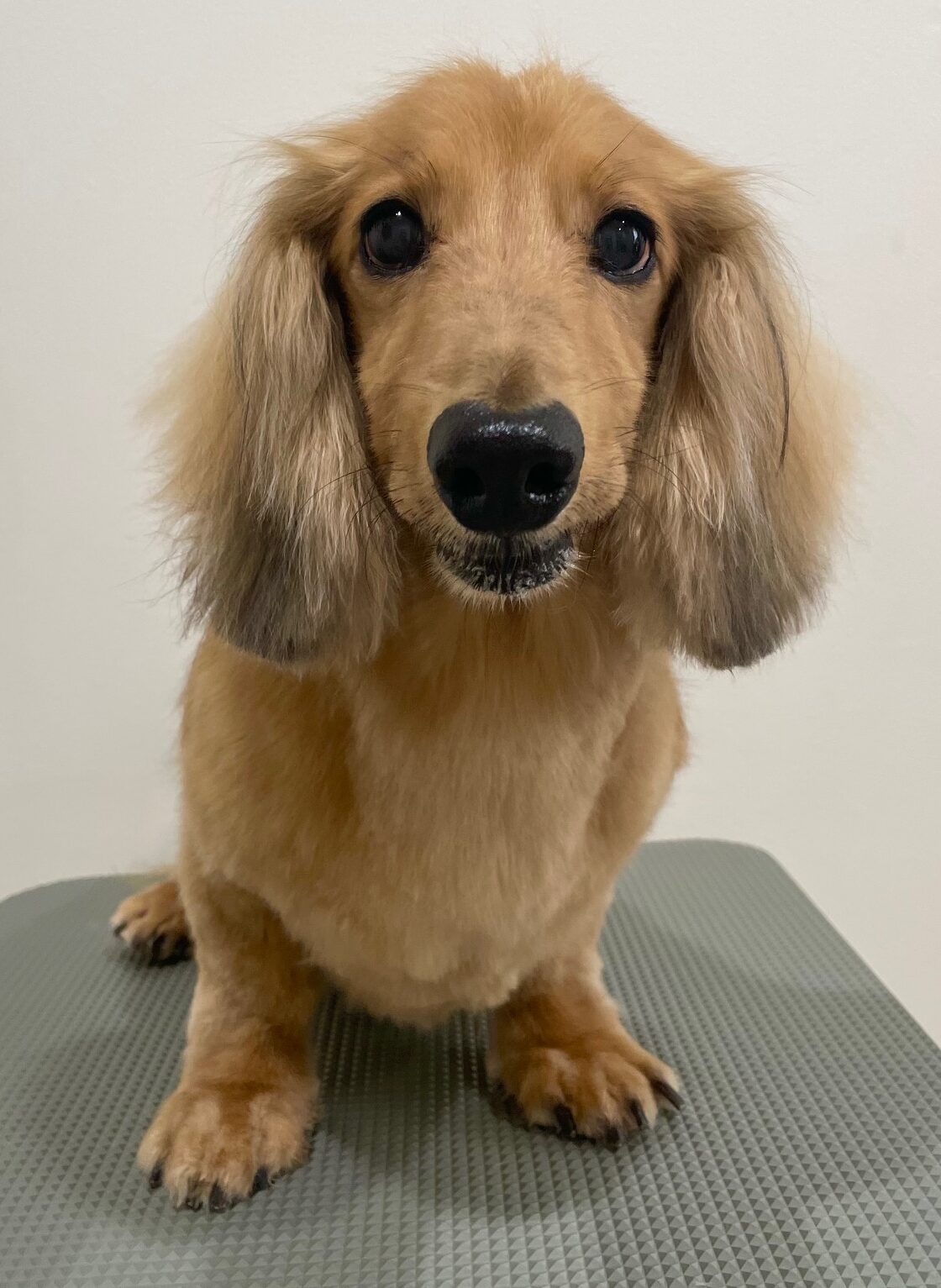 2025-7-18-%e5%b0%8f%e6%9d%be%e3%83%a9%e3%83%b3%e3%83%87%e3%82%a3%e3%83%bc