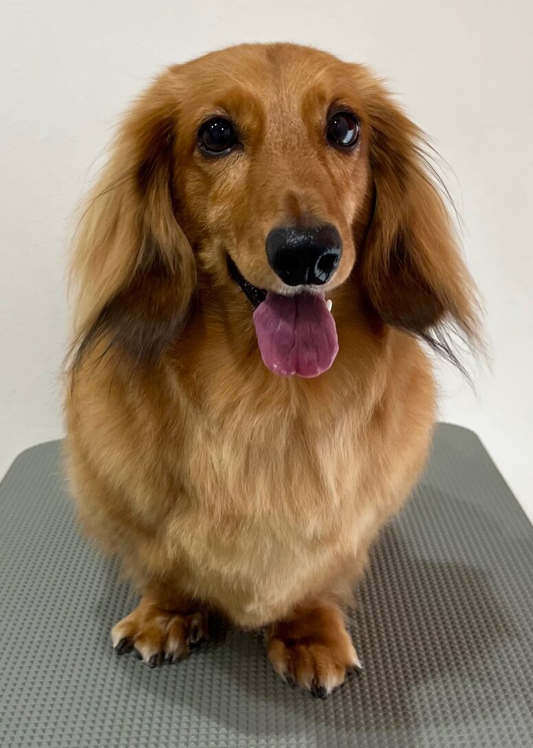 2025-7-18-%e5%b0%8f%e6%9e%97%e3%83%ad%e3%83%b3