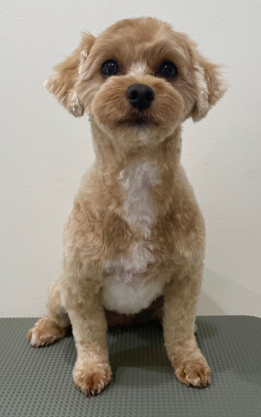 2025-7-18-%e5%b9%b8%e7%9c%9f%e3%81%b7%e3%81%b7