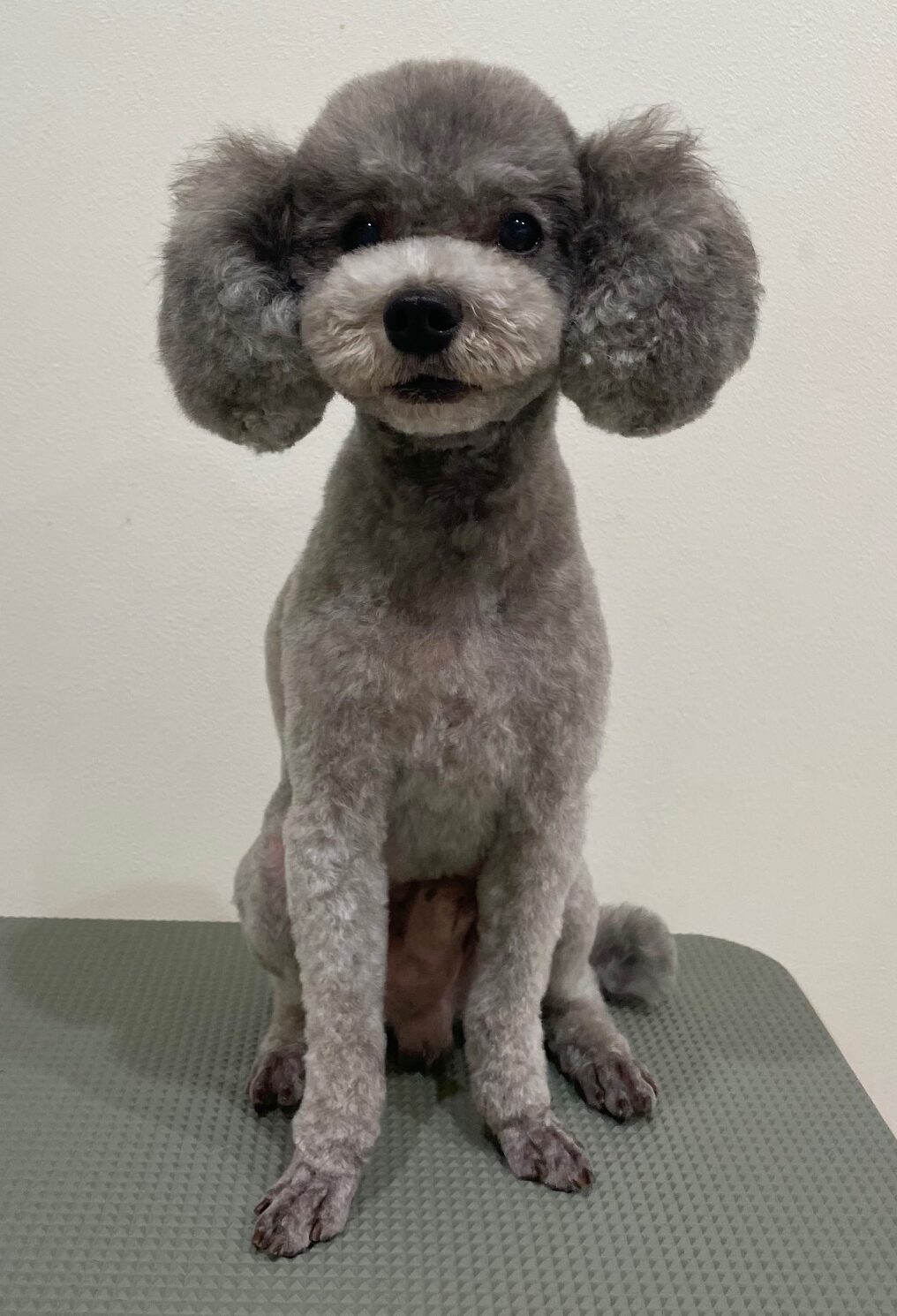 2025-7-18-%e6%a9%8b%e6%9c%ac%e3%81%93%e3%81%92%e3%81%9f%e3%82%8d%e3%81%86